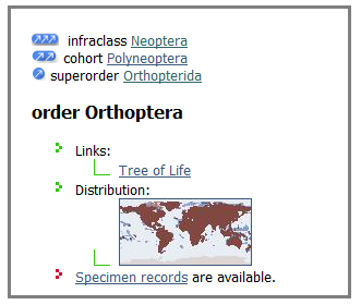 OrthopteraCurrentTaxon.png